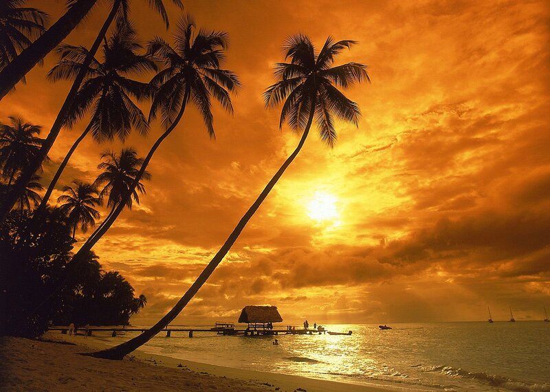 Palm Trees at Sunset — Orange, Dramatic, Photograph, Beach, Ocean, Dock