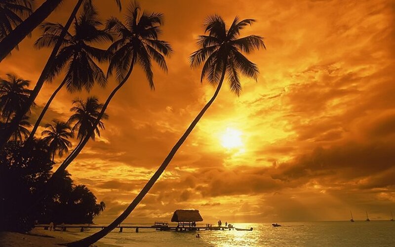 Palm Trees at Sunset — Orange, Dramatic, Photograph, Ocean, Hut