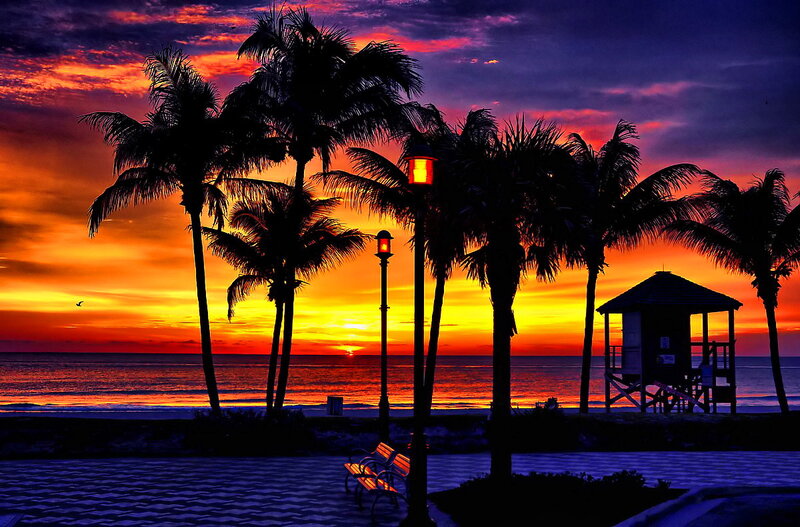 Palm Trees at Sunset — Orange, Dramatic, Photograph, Ocean, Lifeguard Tower