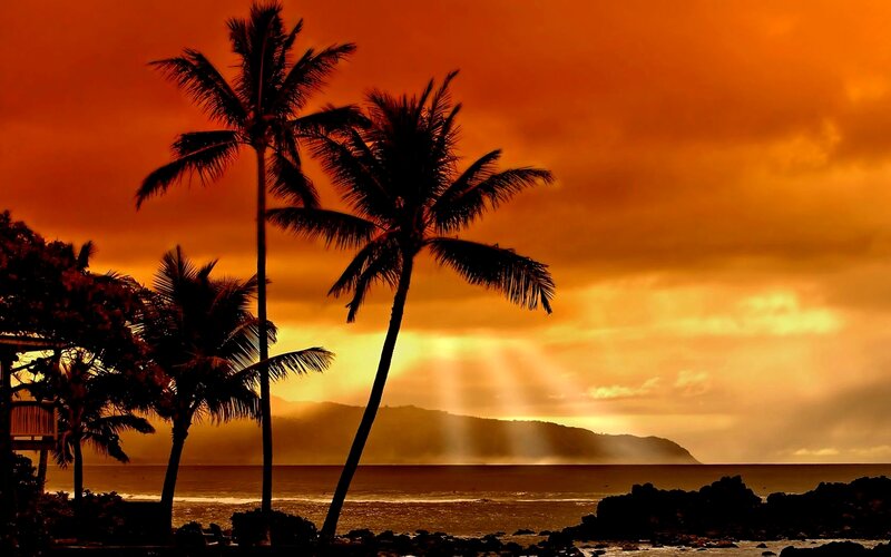 Palm Trees at Sunset — Orange, Dramatic, Photograph, Ocean, Mountain, Clouds, Black