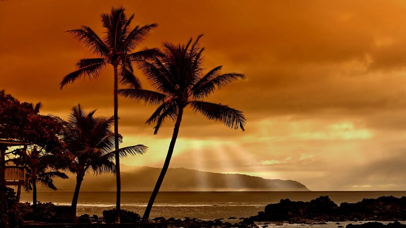 Palm Trees at Sunset — Orange, Dramatic, Photograph, Ocean, Mountain, Clouds