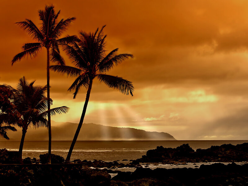 Palm Trees at Sunset — Orange, Dramatic, Photograph, Ocean, Mountain, Rocks