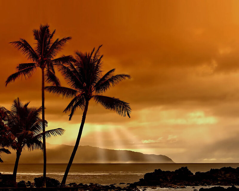 Palm Trees at Sunset — Orange, Dramatic, Photograph, Ocean, Mountain
