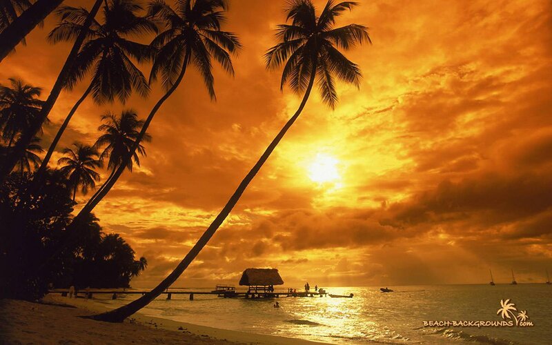 Palm Trees at Sunset — Orange, Dramatic, Photograph, Ocean, Pier