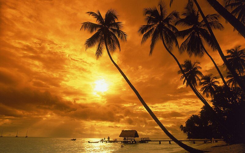 Palm Trees at Sunset — Orange, Dramatic, Photograph, Ocean, Sailboats