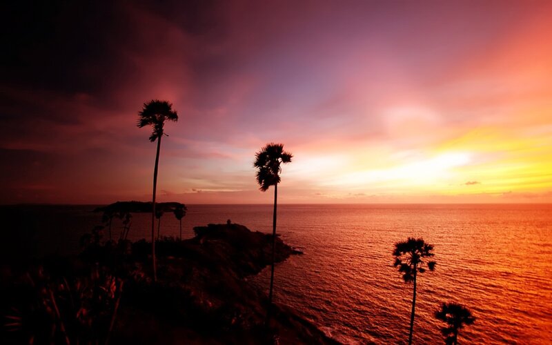Palm Trees at Sunset — Orange, Dramatic, Photograph, Ocean, Sky, Cliff