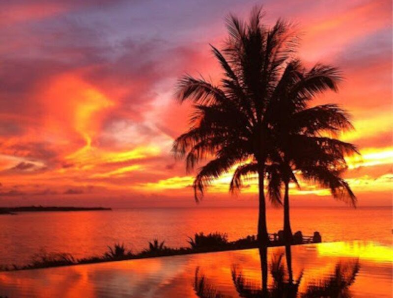 Palm Trees at Sunset — Orange, Dramatic, Photograph, Ocean, Sky, Pool