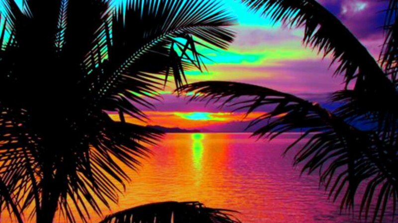 Palm Trees at Sunset — Orange, Dramatic, Photograph, Ocean, Sky, Silhouette