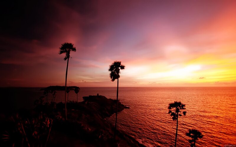 Palm Trees at Sunset — Orange, Dramatic, Photograph, Ocean, Sky