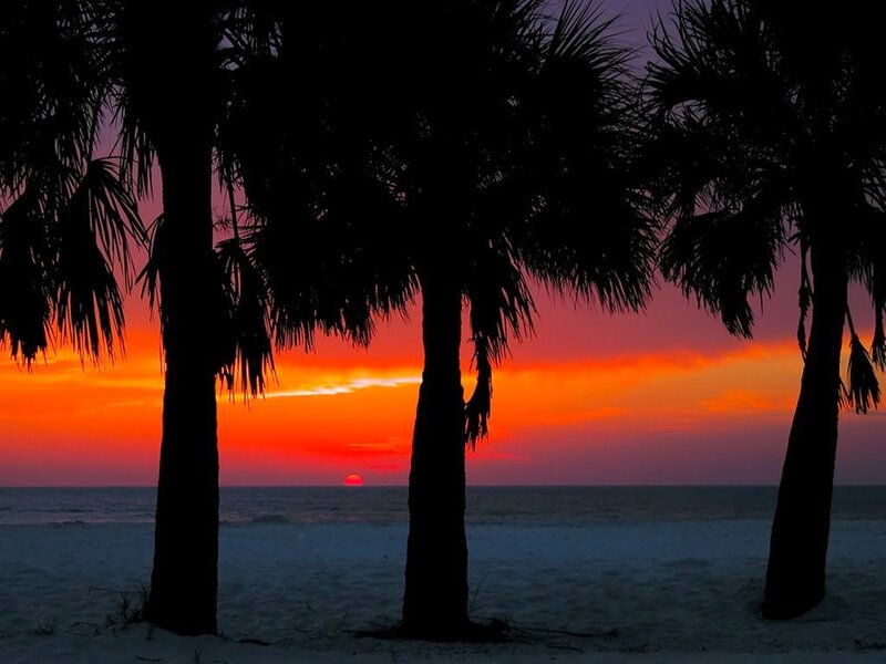 Palm Trees at Sunset — Orange, Dramatic, Photograph, Ocean
