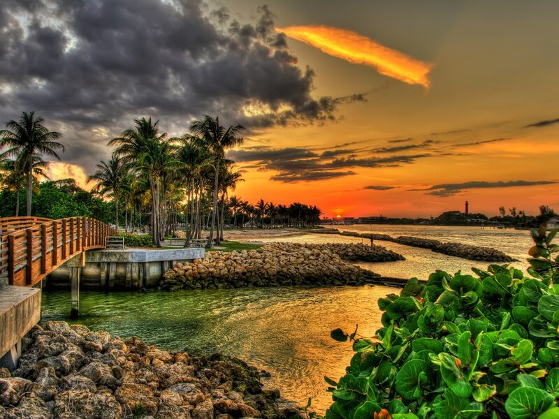 Palm Trees at Sunset — Orange, Dramatic, Photograph, Palm Trees, Boardwalk