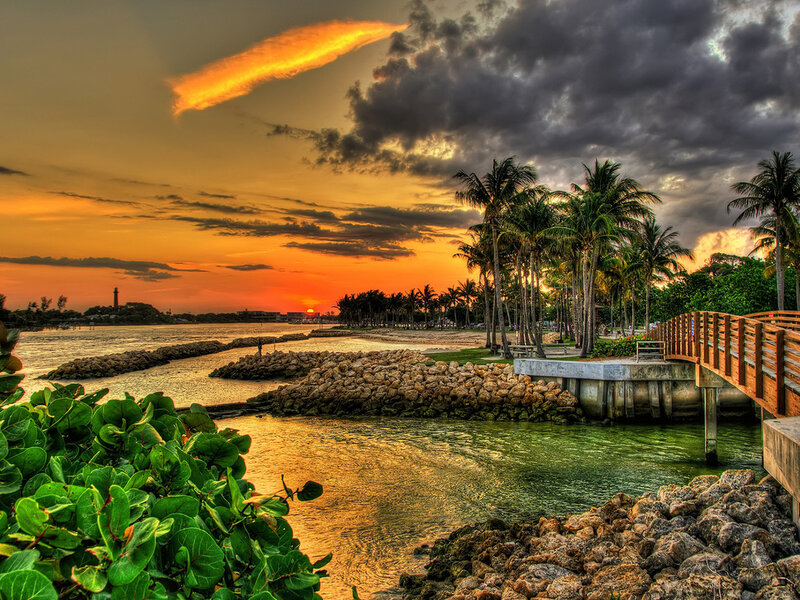 Palm Trees at Sunset — Orange, Dramatic, Photograph, Palm Trees, Lighthouse, Bridge