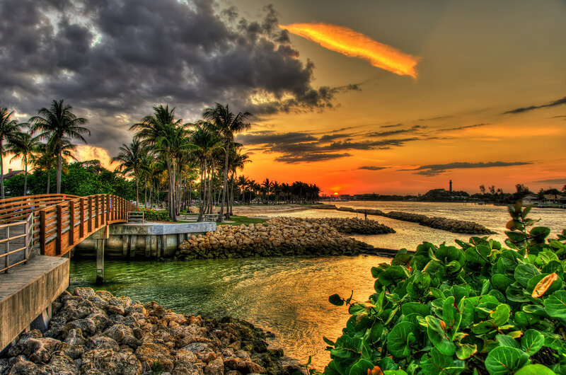 Palm Trees at Sunset — Orange, Dramatic, Photograph, Palm Trees, Lighthouse