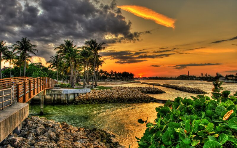 Palm Trees at Sunset — Orange, Dramatic, Photograph, Palm Trees