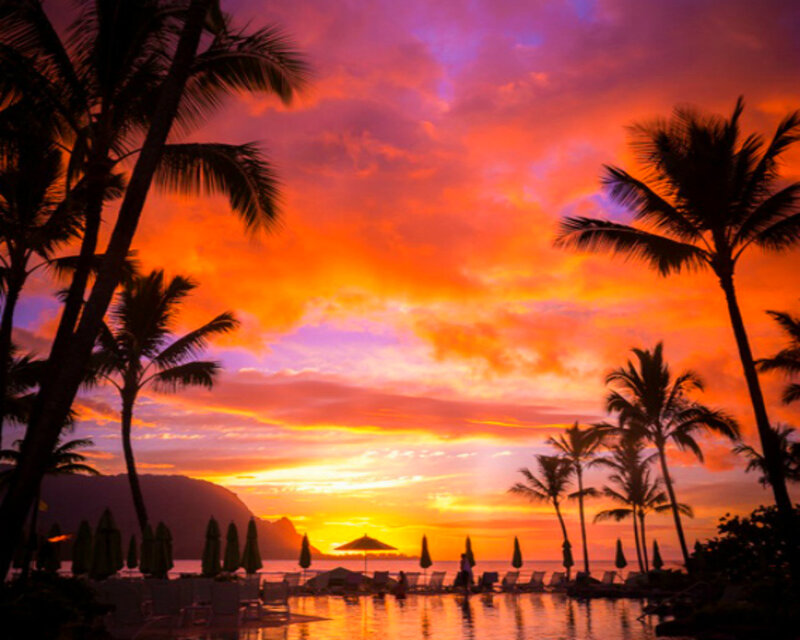 Palm Trees at Sunset — Orange, Dramatic, Photograph, Palm Trees, Umbrellas