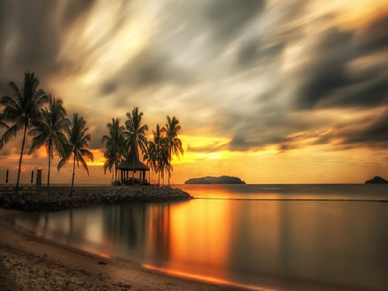 Palm Trees at Sunset — Orange, Dramatic, Photograph, Pavilion