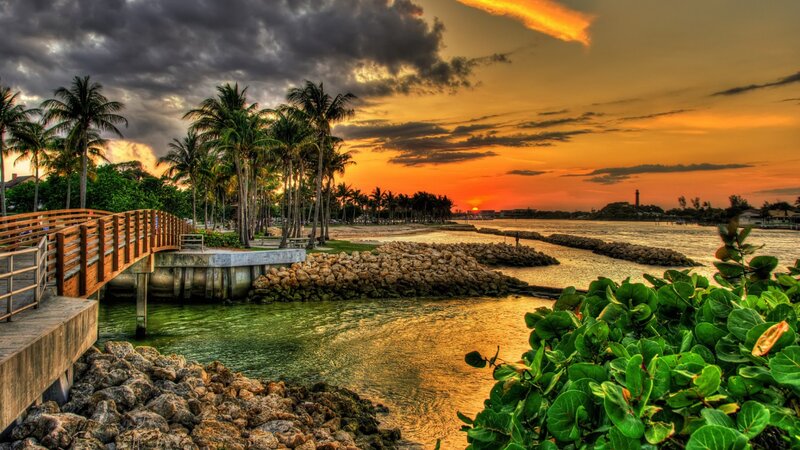 Palm Trees at Sunset — Orange, Dramatic, Photograph, Pier, Lighthouse