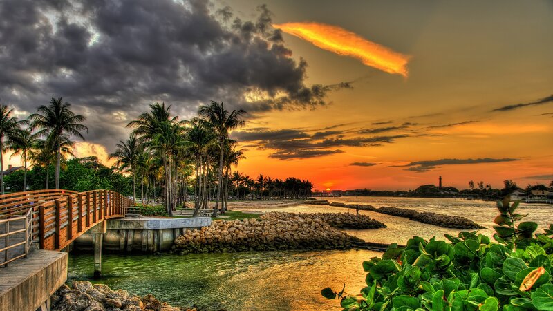 Palm Trees at Sunset — Orange, Dramatic, Photograph, Pier, Rocks
