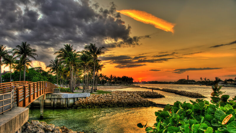 Palm Trees at Sunset — Orange, Dramatic, Photograph, Pier