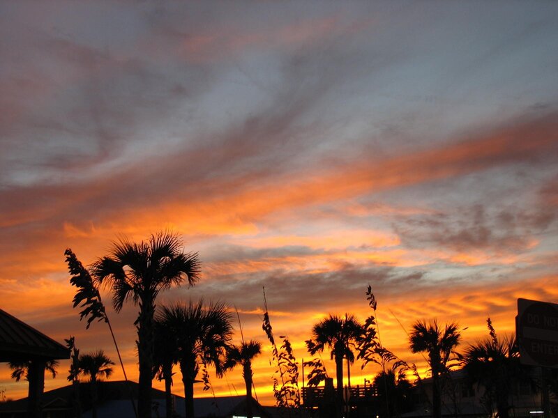 Palm Trees at Sunset — Orange, Dramatic, Photograph, Sky, Clouds, Sign