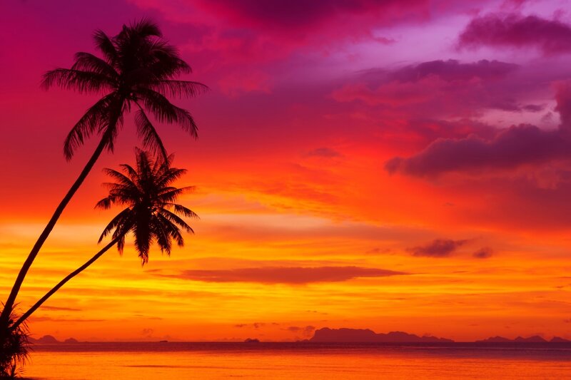 Palm Trees at Sunset — Orange, Dramatic, Photograph, Sky, Ocean, Islands