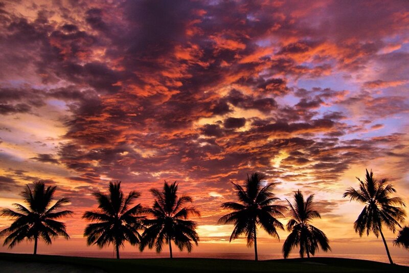 Palm Trees at Sunset — Orange, Dramatic, Photograph, Sky, Ocean