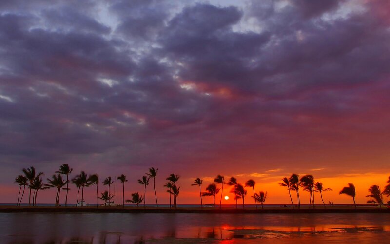 Palm Trees at Sunset — Orange, Dramatic, Photograph, Sun, Ocean