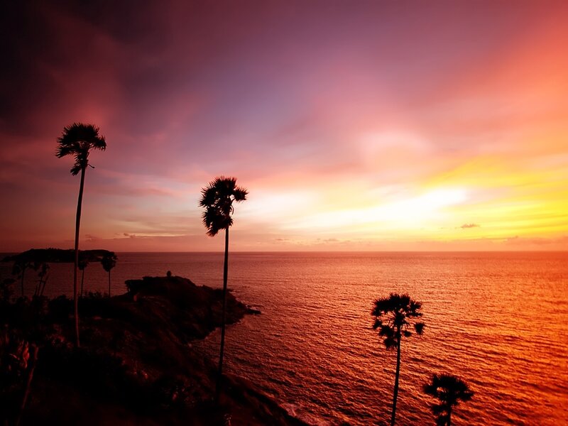 Palm Trees at Sunset — Orange, Dramatic