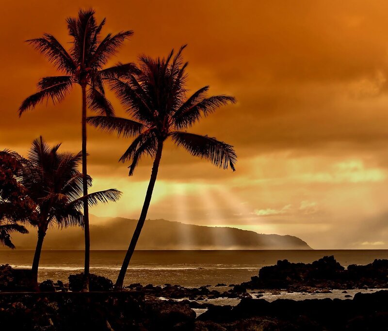Palm Trees at Sunset — Orange, Photograph