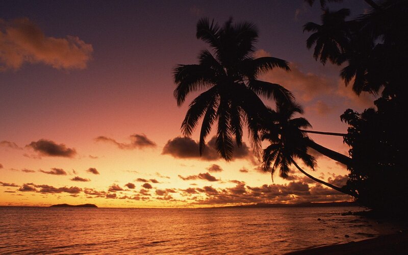 Palm Trees at Sunset — Orange, Purple