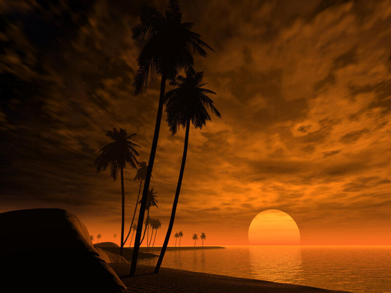 Palm Trees at Sunset — Orange, Serene, 3d Render, Ocean, Sky