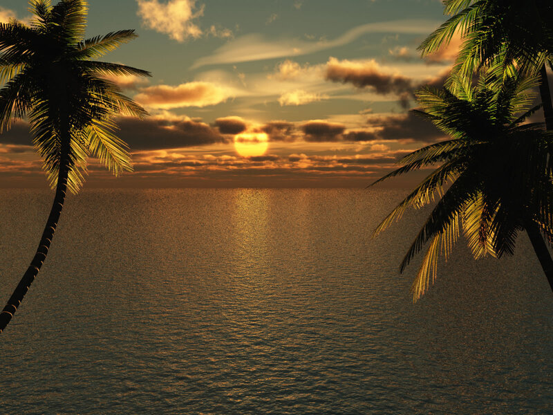 Palm Trees at Sunset — Orange, Serene, 3d Render, Ocean, Sun
