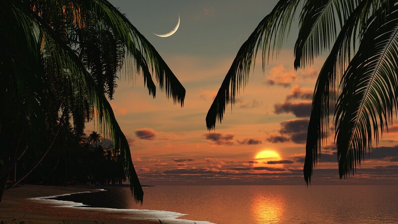 Palm Trees at Sunset — Orange, Serene, Digital Art, Moon, Ocean, Clouds