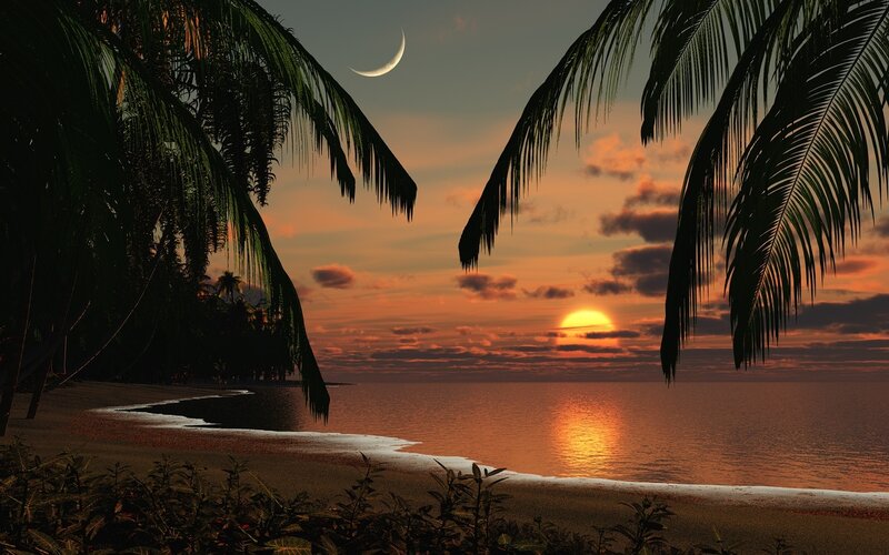 Palm Trees at Sunset — Orange, Serene, Digital Art, Moon, Ocean