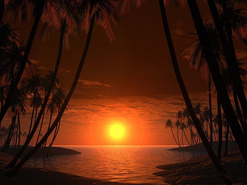 Palm Trees at Sunset — Orange, Serene, Digital Art, Ocean, Sky, Sand