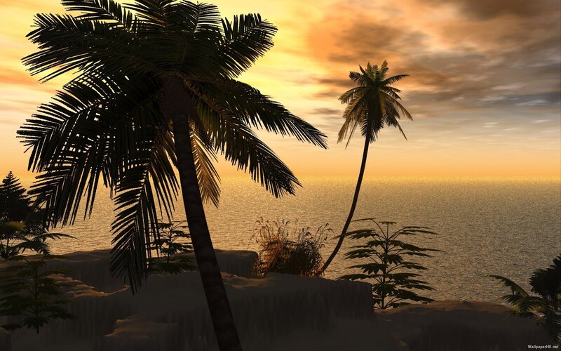 Palm Trees at Sunset — Orange, Serene, Digital Art, Ocean, Sky, Sand, Yellow