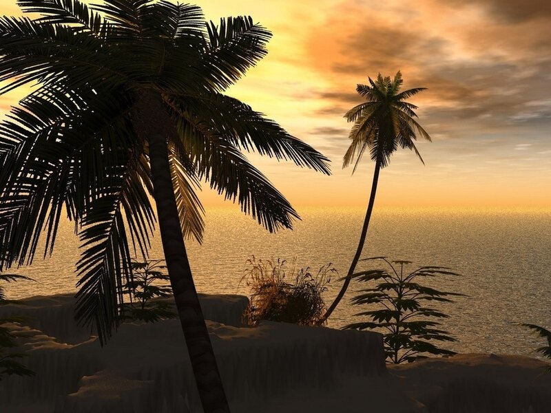 Palm Trees at Sunset — Orange, Serene, Digital Art, Ocean, Sky