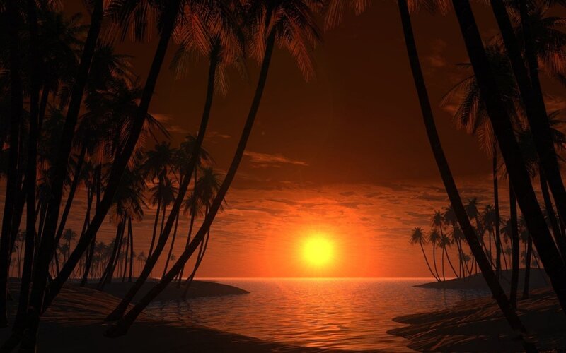 Palm Trees at Sunset — Orange, Serene, Digital Art, Ocean, Sun, Sky, Black