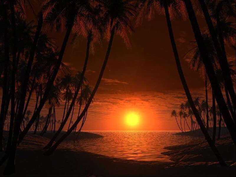 Palm Trees at Sunset — Orange, Serene, Digital Art, Ocean, Sun, Sky