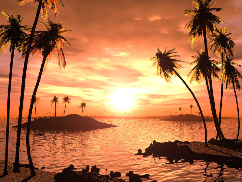 Palm Trees at Sunset — Orange, Serene, Digital Art, Ocean