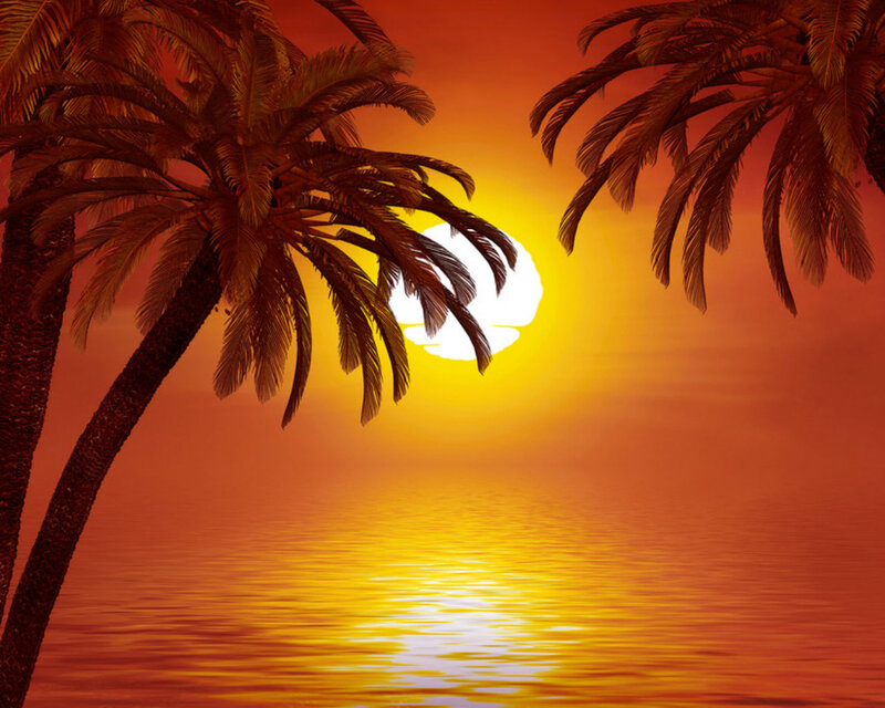 Palm Trees at Sunset — Orange, Serene, Digital Art, Sun, Ocean