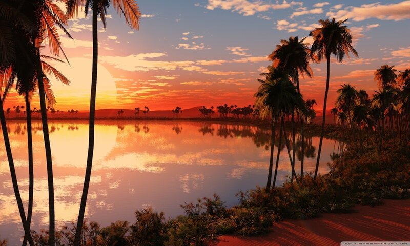 Palm Trees at Sunset — Orange, Serene, Digital Art
