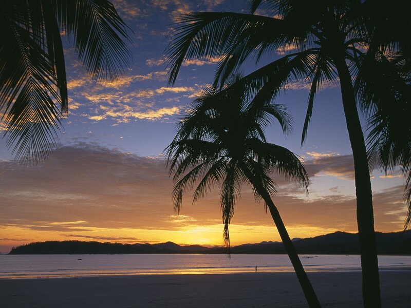 Palm Trees at Sunset — Orange, Serene, Photograph, Beach