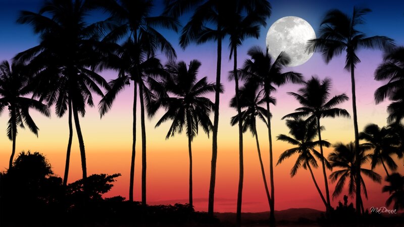 Palm Trees at Sunset — Orange, Serene, Photograph, Moon