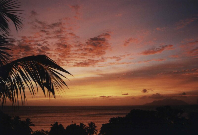 Palm Trees at Sunset — Orange, Serene, Photograph, Ocean, Clouds, Mountain