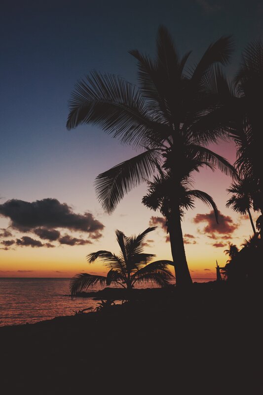 Palm Trees at Sunset — Orange, Serene, Photograph, Ocean, Clouds, Sky
