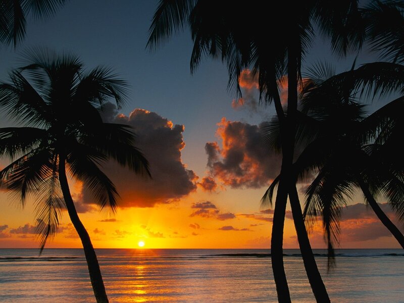 Palm Trees at Sunset — Orange, Serene, Photograph, Ocean, Clouds