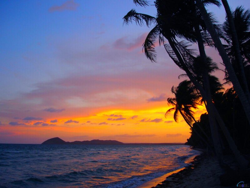 Palm Trees at Sunset — Orange, Serene, Photograph, Ocean, Island, Sky