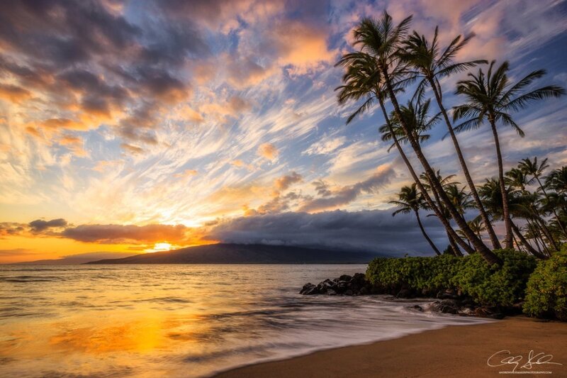 Palm Trees at Sunset — Orange, Serene, Photograph, Ocean, Mountain, Clouds
