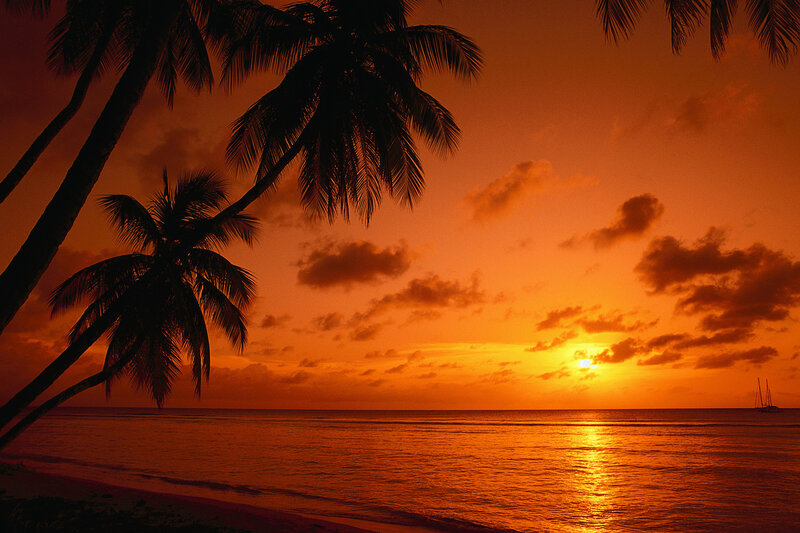 Palm Trees at Sunset — Orange, Serene, Photograph, Ocean, Sailboat